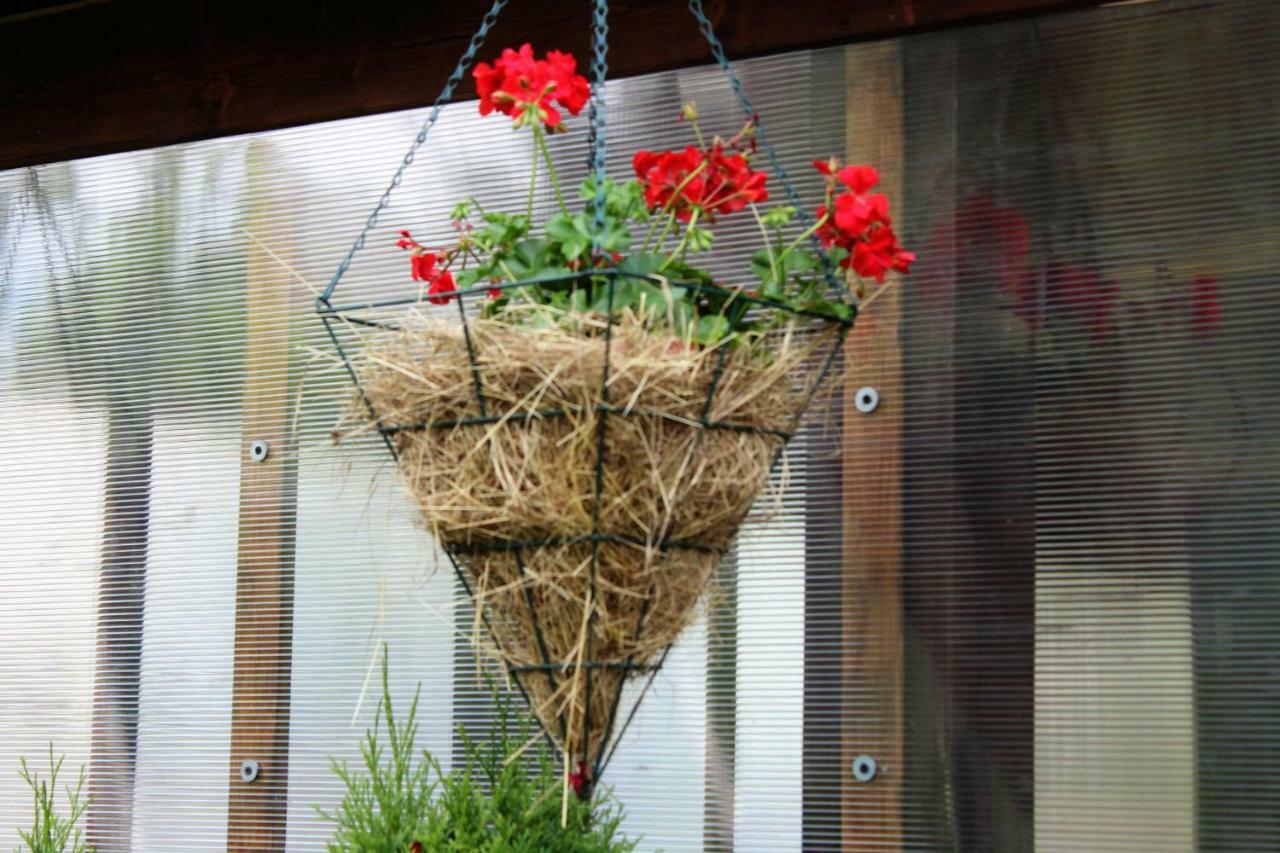 Ostoja Pod Tatrami Apartment Poronin Luaran gambar